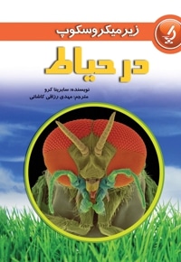 در حیاط
